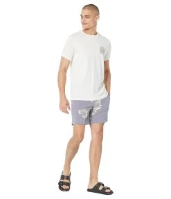 Billabong Sundays Layback 17" Volley 7 Billabong Sundays Layback 17" Volley -Billabong Store 61X1 hoFBhL