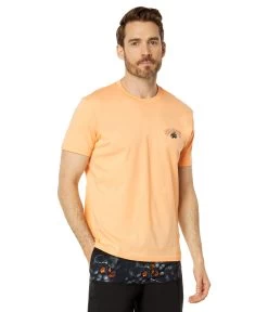 Billabong Kamea Lava Arch Short Sleeve Tee