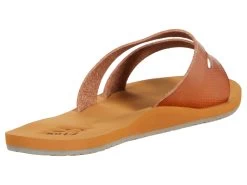 Billabong Ocean Grove -Billabong Store 61i EINW9GL