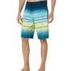 Billabong All Day Stripe Pro 21" Boardshorts